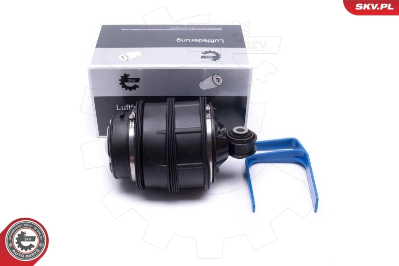 Air Spring, suspension
